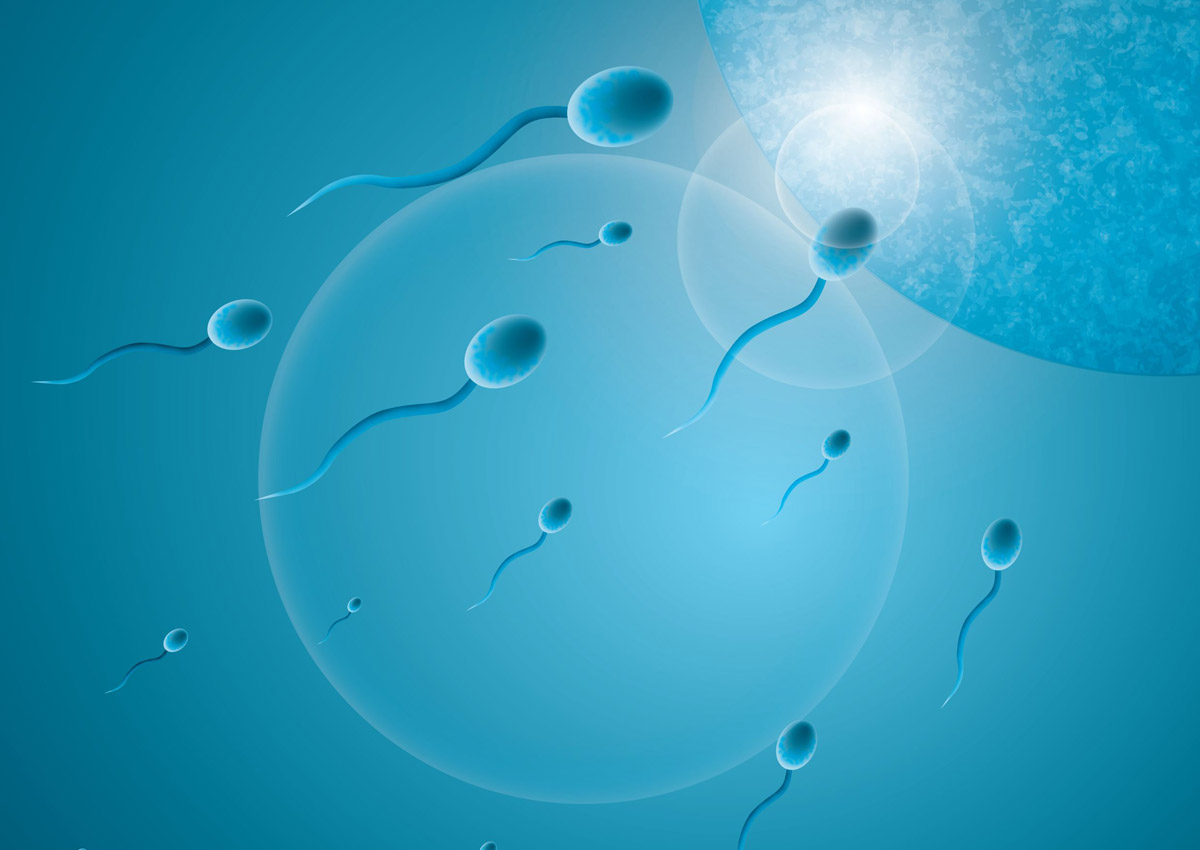 Sperm count dropped over 50 per cent in less than 40 years