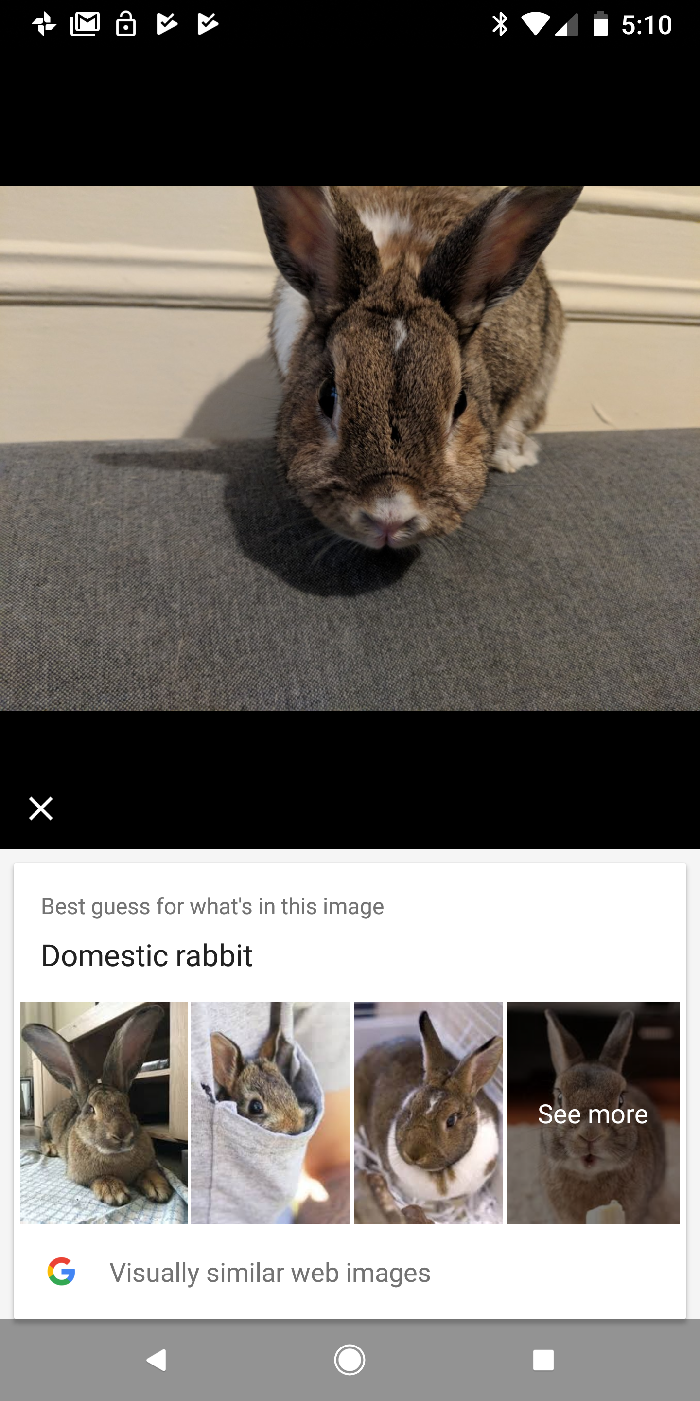 Google Lens on Pixel 2 still has a long way to go