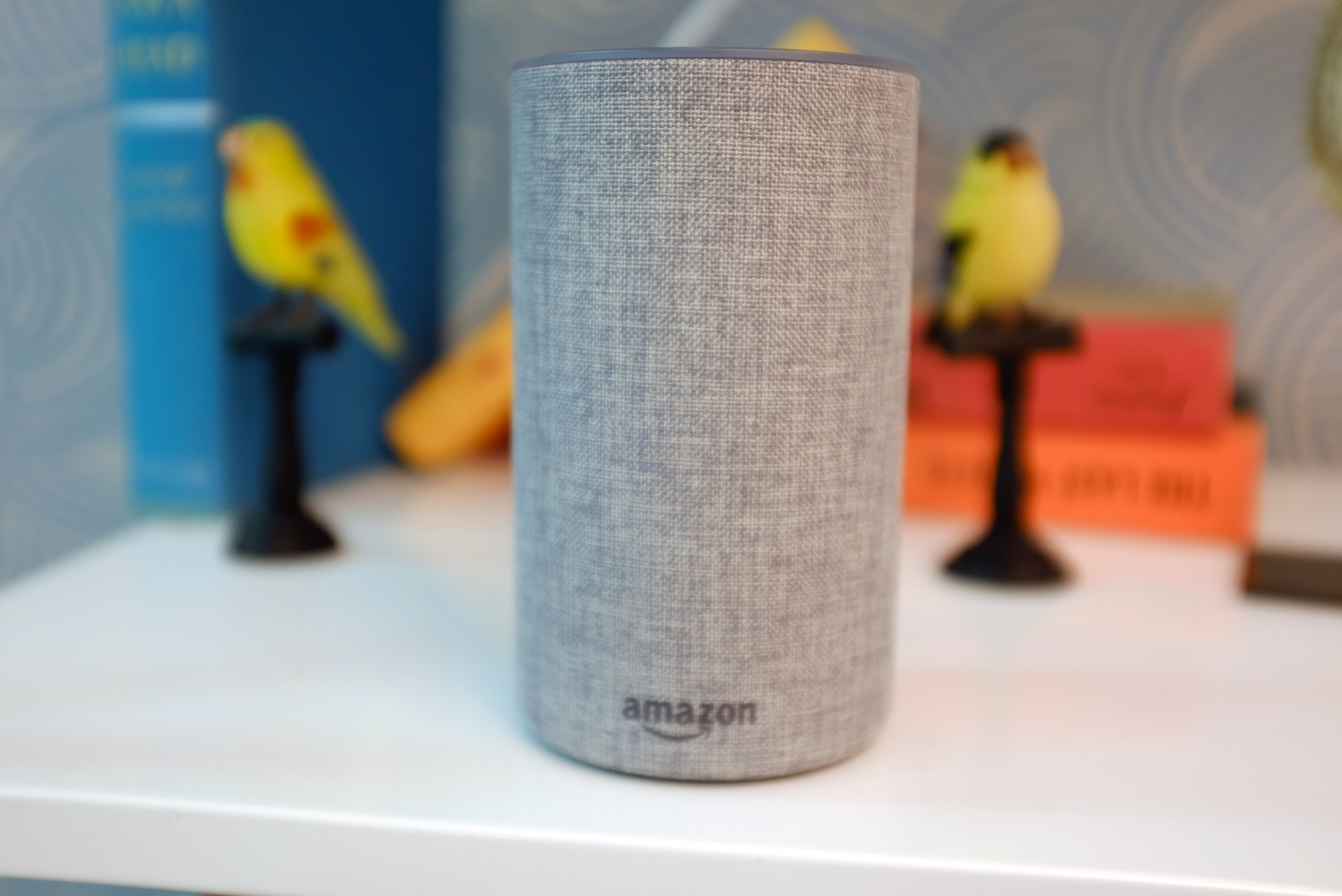 After shoving its way onto iTunes, U2 is headed for the Amazon Echo
