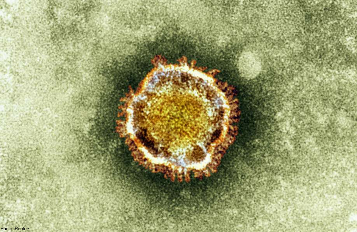 Human antibodies made in cows could be developed to treat MERS