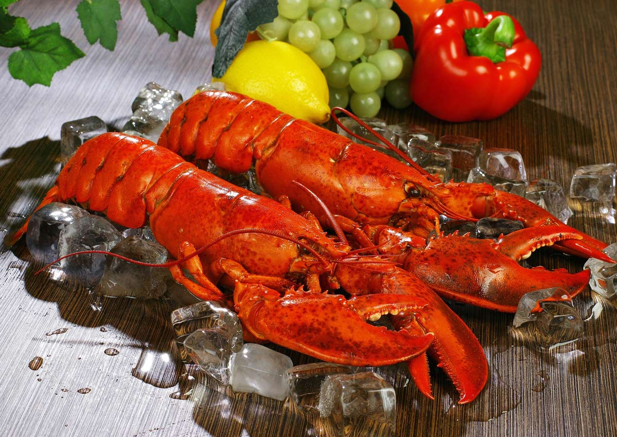 Only brain dead lobsters fit for cooking in Switzerland