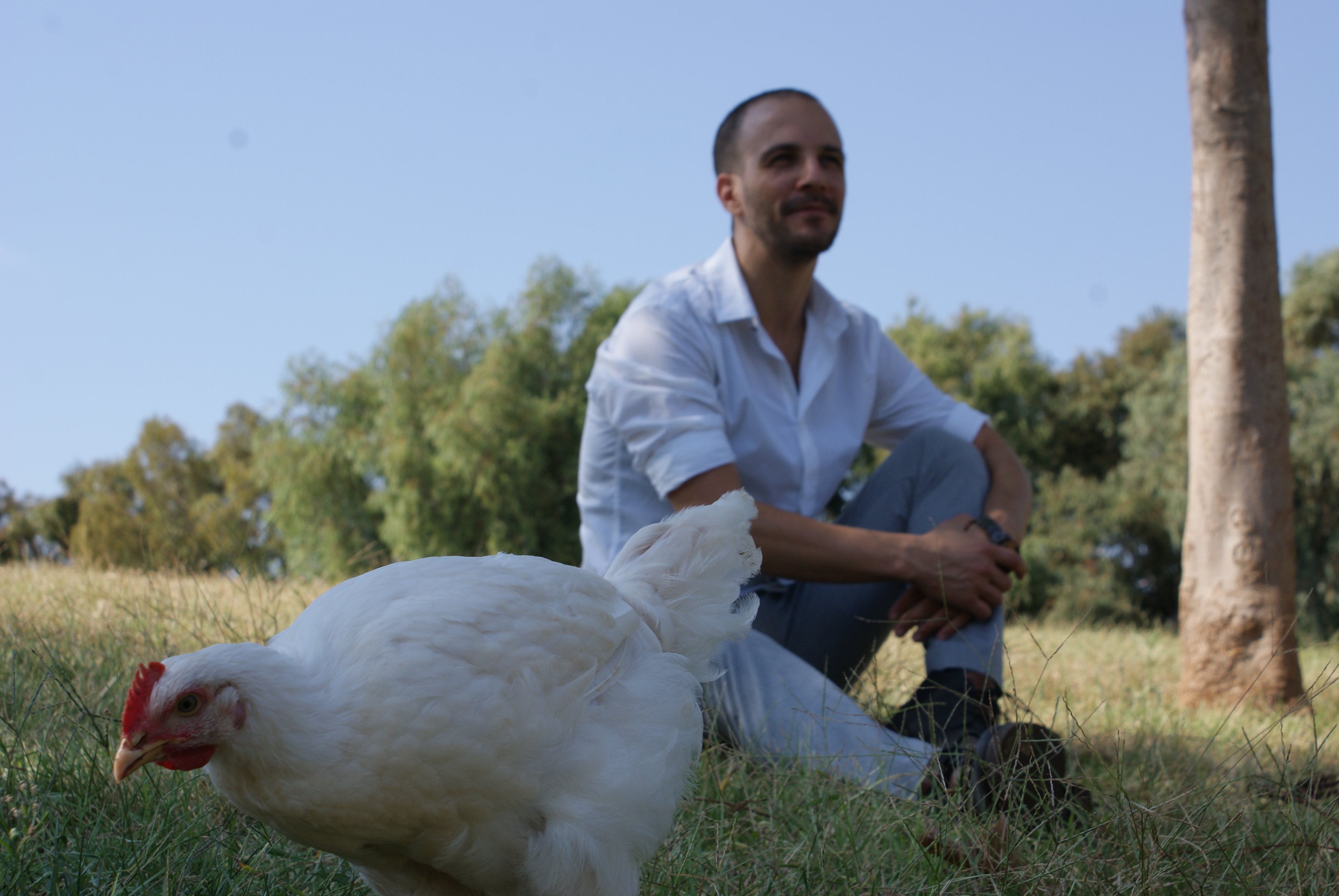 Lab-made meat startup SuperMeat raises $3M seed to develop ‘clean’ chicken
