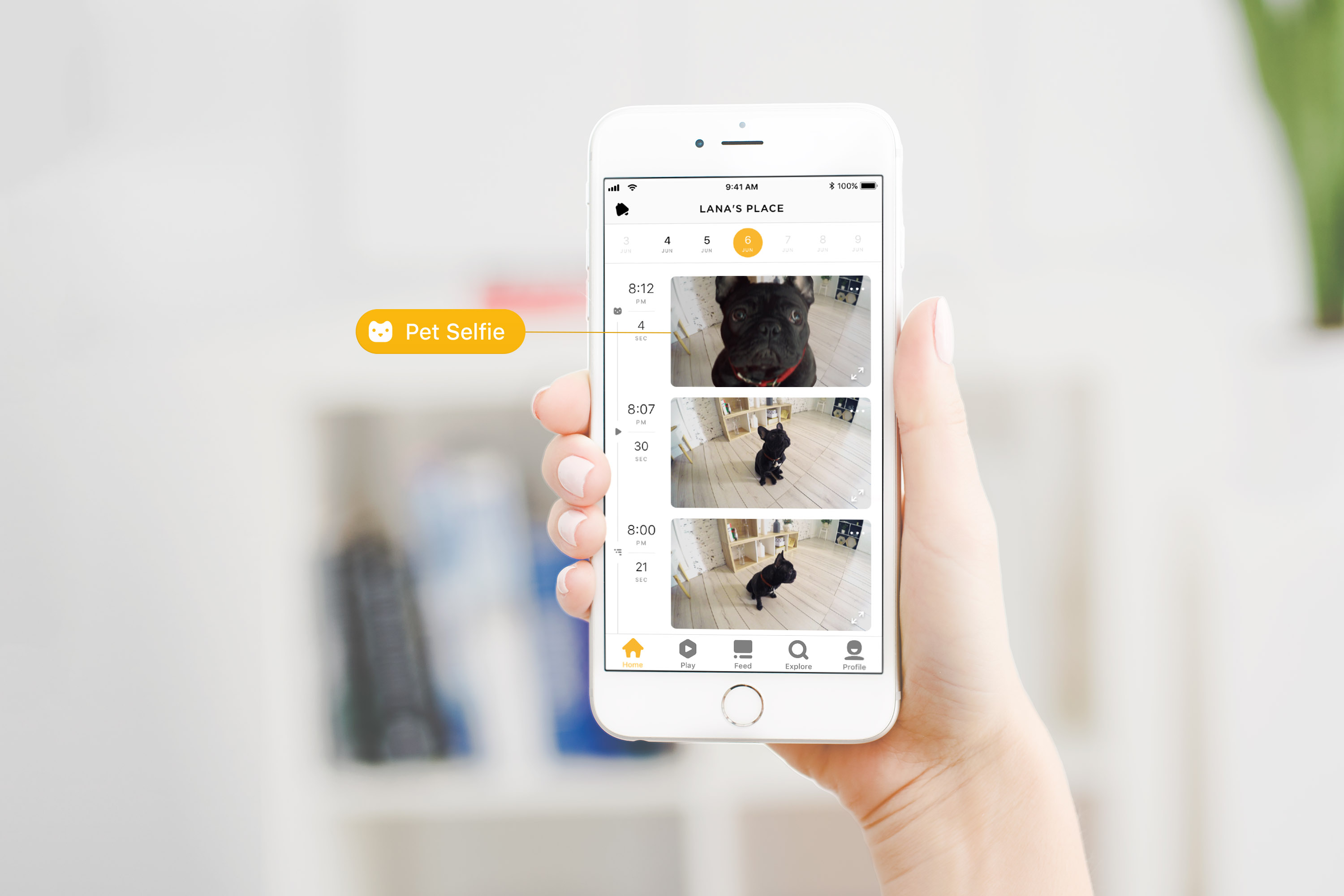 Pet cameras from Petcube can take pet selfies, let Fido ‘call’ home