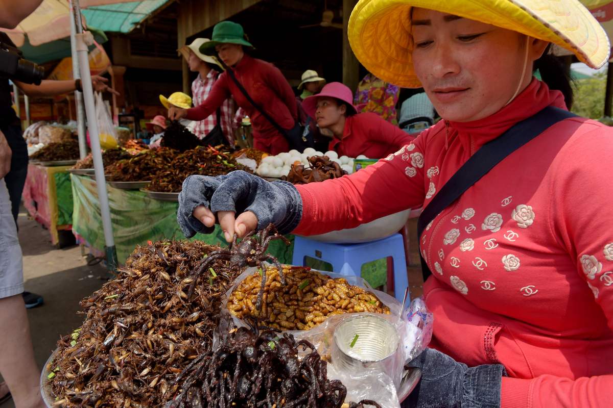 In Cambodia, fears tarantula may go off the menu