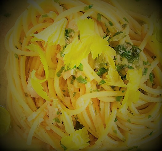 Spaghetti With Canned-Clam Sauce